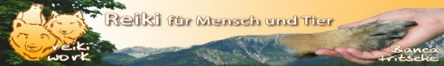 hier geht es zur Homepage